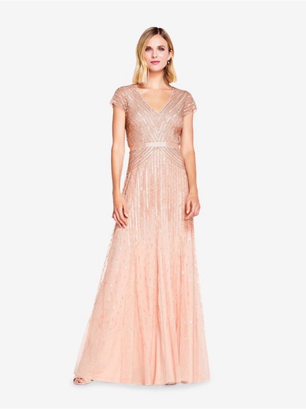 Adrianna Papell Embellished V-Neck Blush Evening Gown NWT Size 16